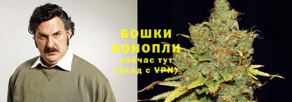 круглые Аркадак