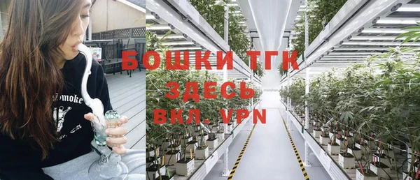 ГАЛЛЮЦИНОГЕННЫЕ ГРИБЫ Армянск