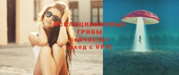 ГАЛЛЮЦИНОГЕННЫЕ ГРИБЫ Армянск