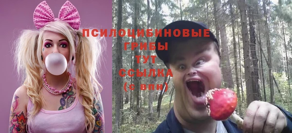 круглые Аркадак