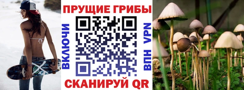 продажа наркотиков  МЕГА как войти  Галлюциногенные грибы Magic Shrooms  Пыталово 